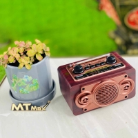 Đài FM RX2501BT 