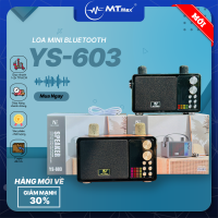 Loa Bluetooth Mini YS-603, Công Suất 40W, Nhỏ Gọn, Âm Thanh Cực Hay, Bass Căng, Đi Kèm 2 Micro Karaoke Thay Đổi Giọng Nói, Bảo Hành 6 Tháng