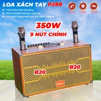 Loa Di Động Karaoke 4 Đường Tiếng MT P288  Viền Sắt 8 Cạnh Bass đôi 20cm Chỉnh Bass, Treble, Delay, Echo, Reverb... Đa Dạng Cổng Kết Nối Âm Thanh Chân Thực Chi Tiết
