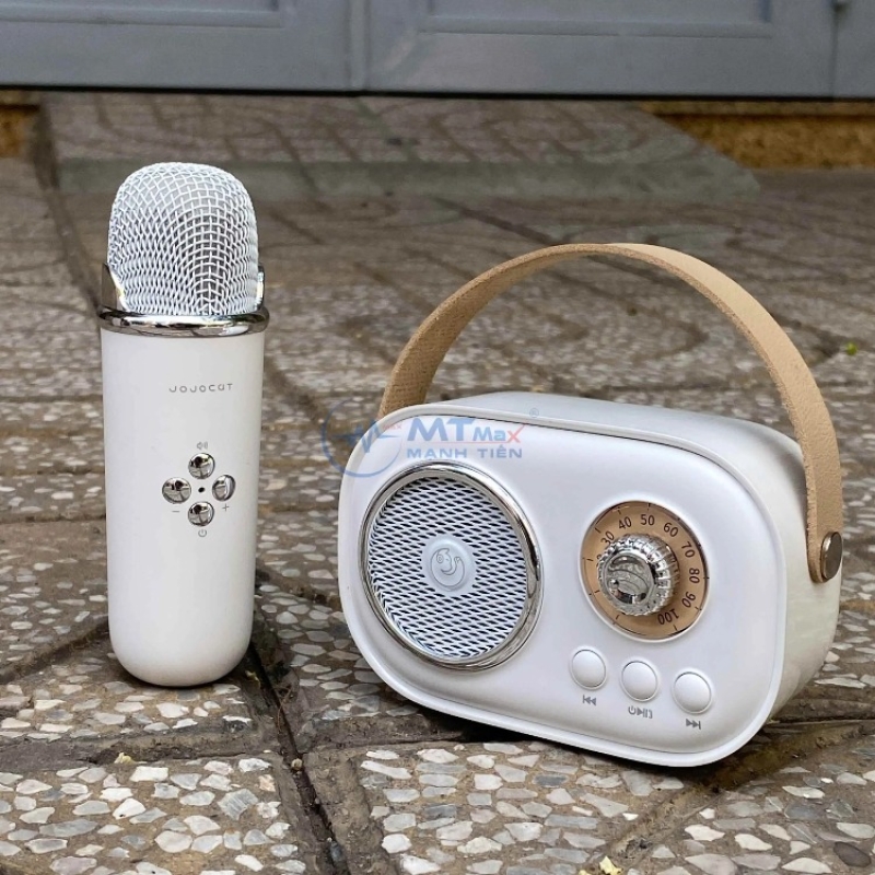 Loa Bluetooth Kèm Mic C20 Plus nhỏ gọn – 3 Trong 1 Bluetooth/Thẻ TF Karaoke