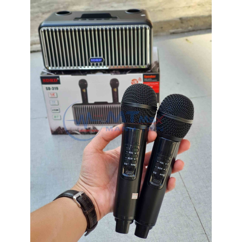 Loa karaoke bluetooth SD319 2 mic âm thanh hay nhỏ gọn phiên bản mới