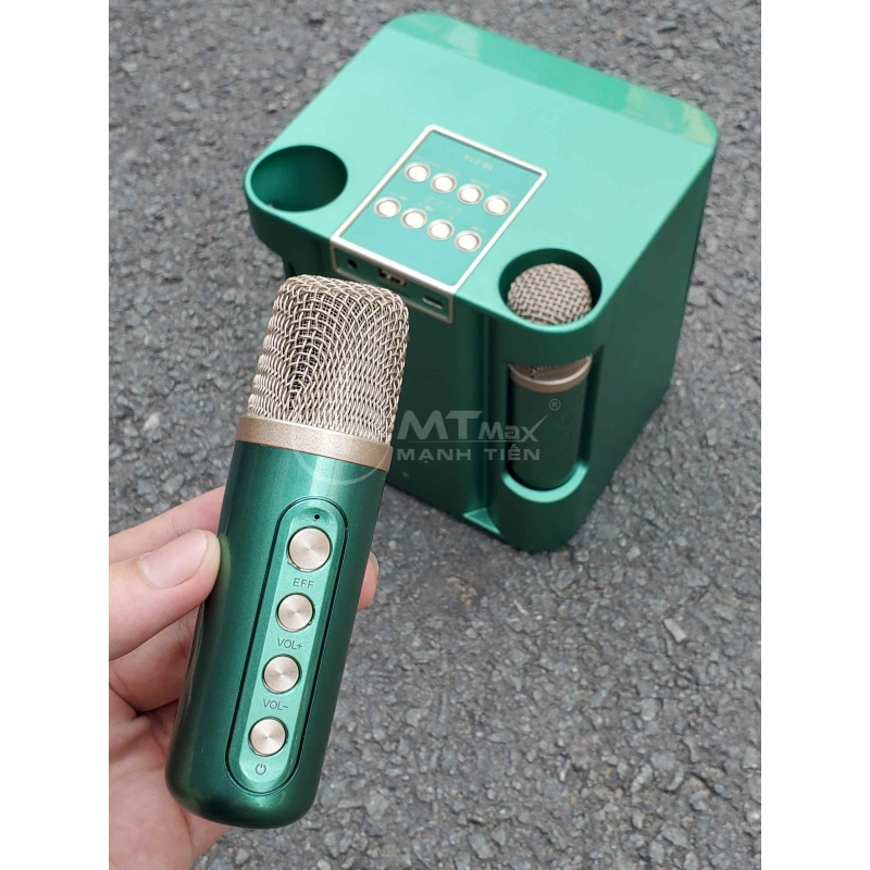 Loa bluetooth karaoke YS-213 - Tặng kèm 2 micro không dây