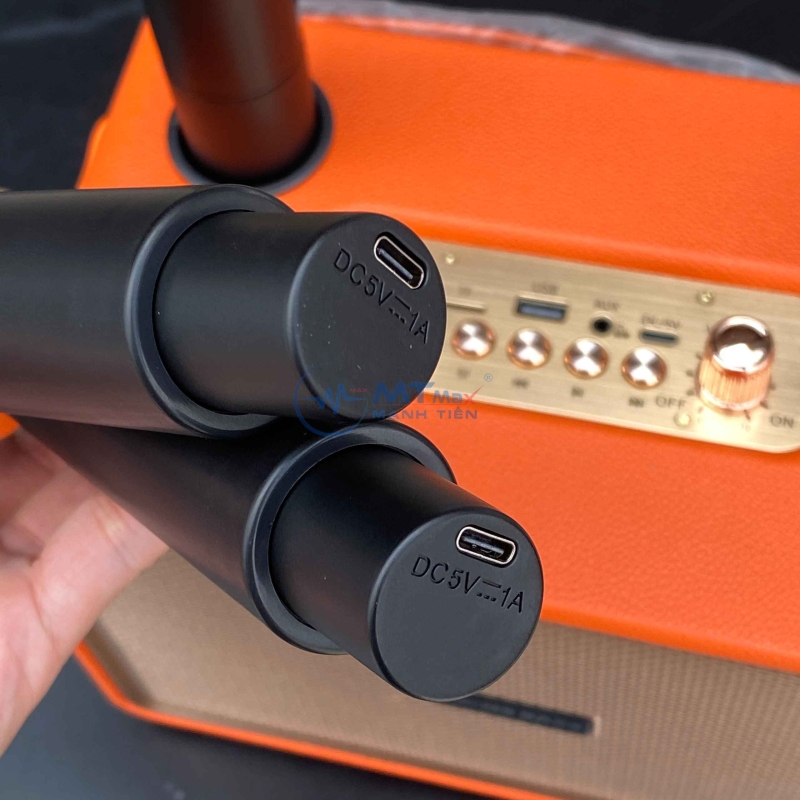Loa Bluetooth Karaoke M4202 – Loa Xách Tay Kèm 2 Micro Không Dây Sang Trọng