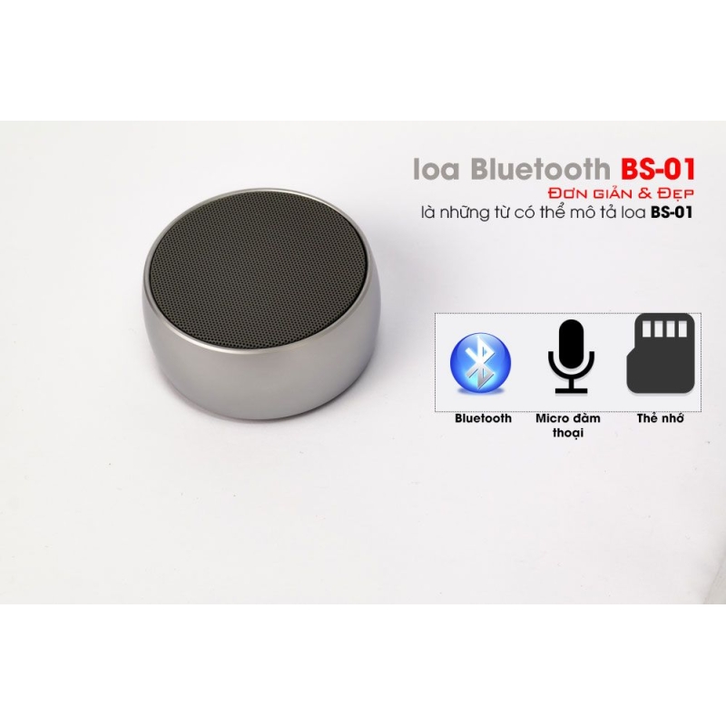 Loa Bluetooth BS01