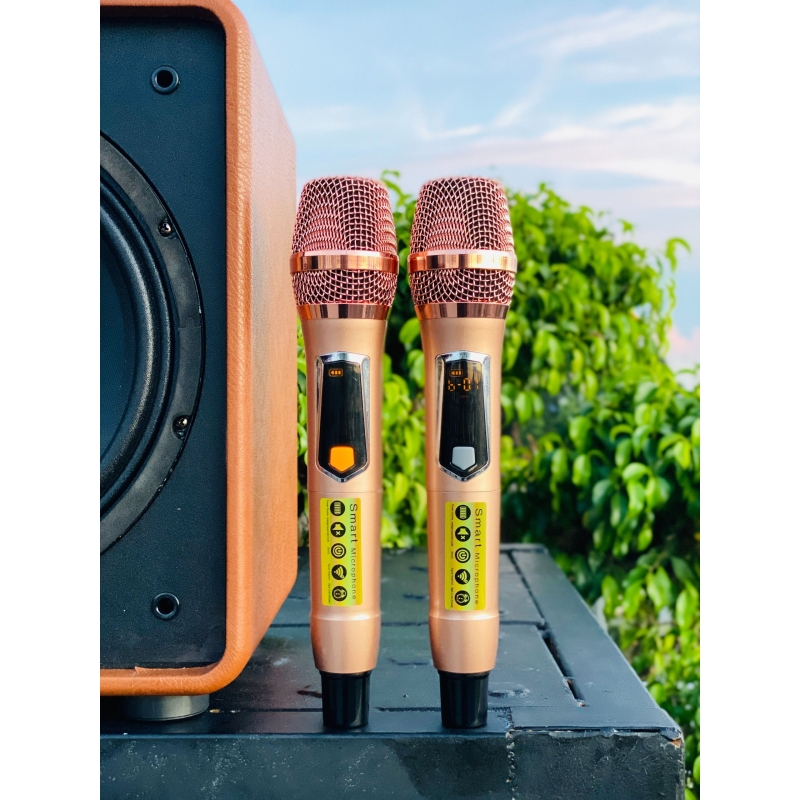 Loa Xách Tay Chính Hãng MTMAX T100PRO - Loa Karaoke Di Động 3 Đường Giá Rẻ Công Suất Lớn 350W Bass Siêu Trầm 25cm Điều Chỉnh Bass Treble Echo Reverb Dễ Dàng Bảo Hành 12 Tháng Tặng Kèm 2 Micro Cao Cấp