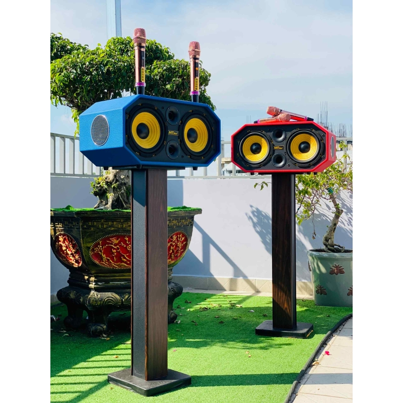 Loa Xách Tay Karaoke MTMAX DK09 Pro Âm Thanh Đa Hướng Hệ Thống 6 Loa 3 Đường Tiếng, 2 Bass 20 Công Suất Đến 450W